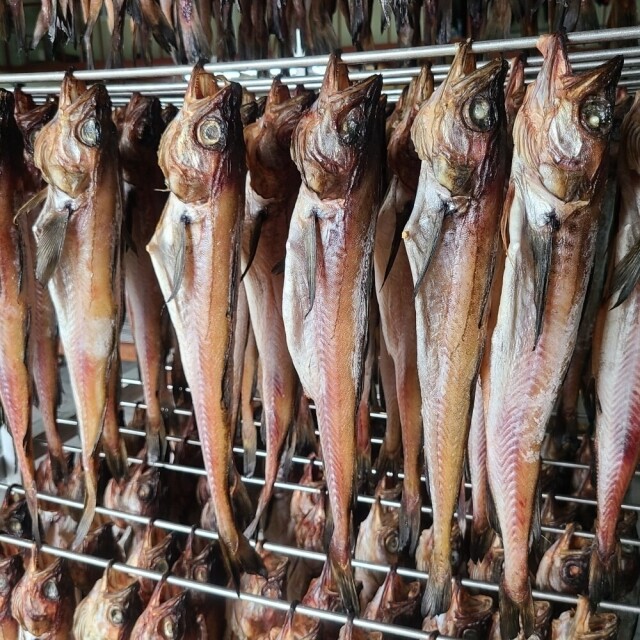 속초명인,대용량 고급 반건조 깔끔 코다리 명태